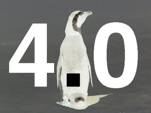 google-pinguin-update-40-seo-blog